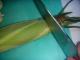 How To Clean Corn